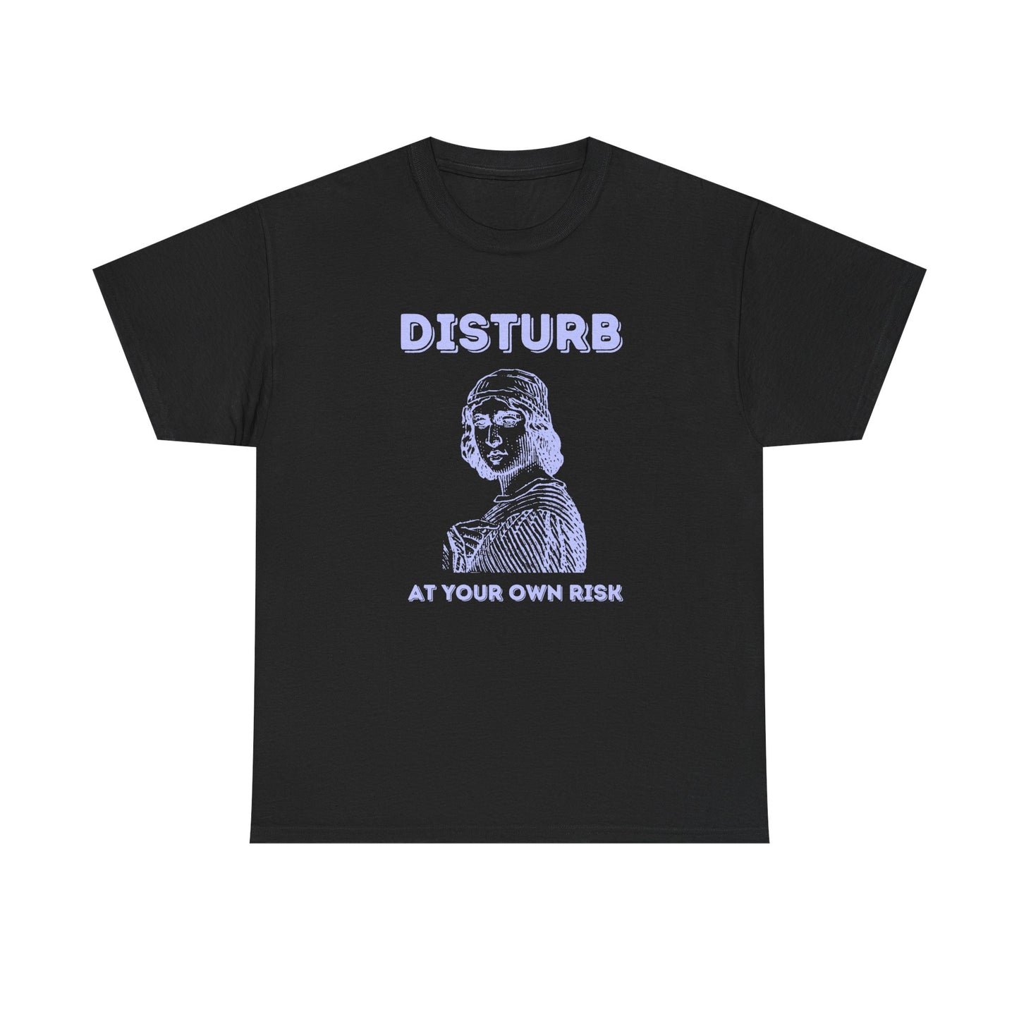 Disturb at your own risk - T-SHIRT
