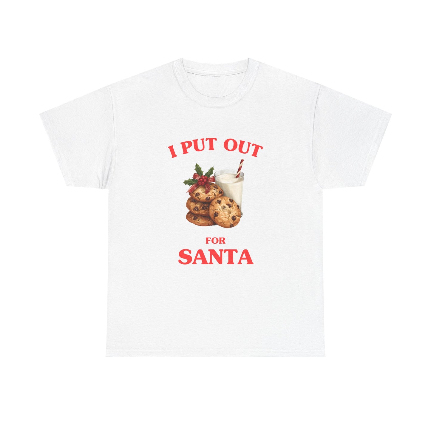 I put out for Santa - T-SHIRT