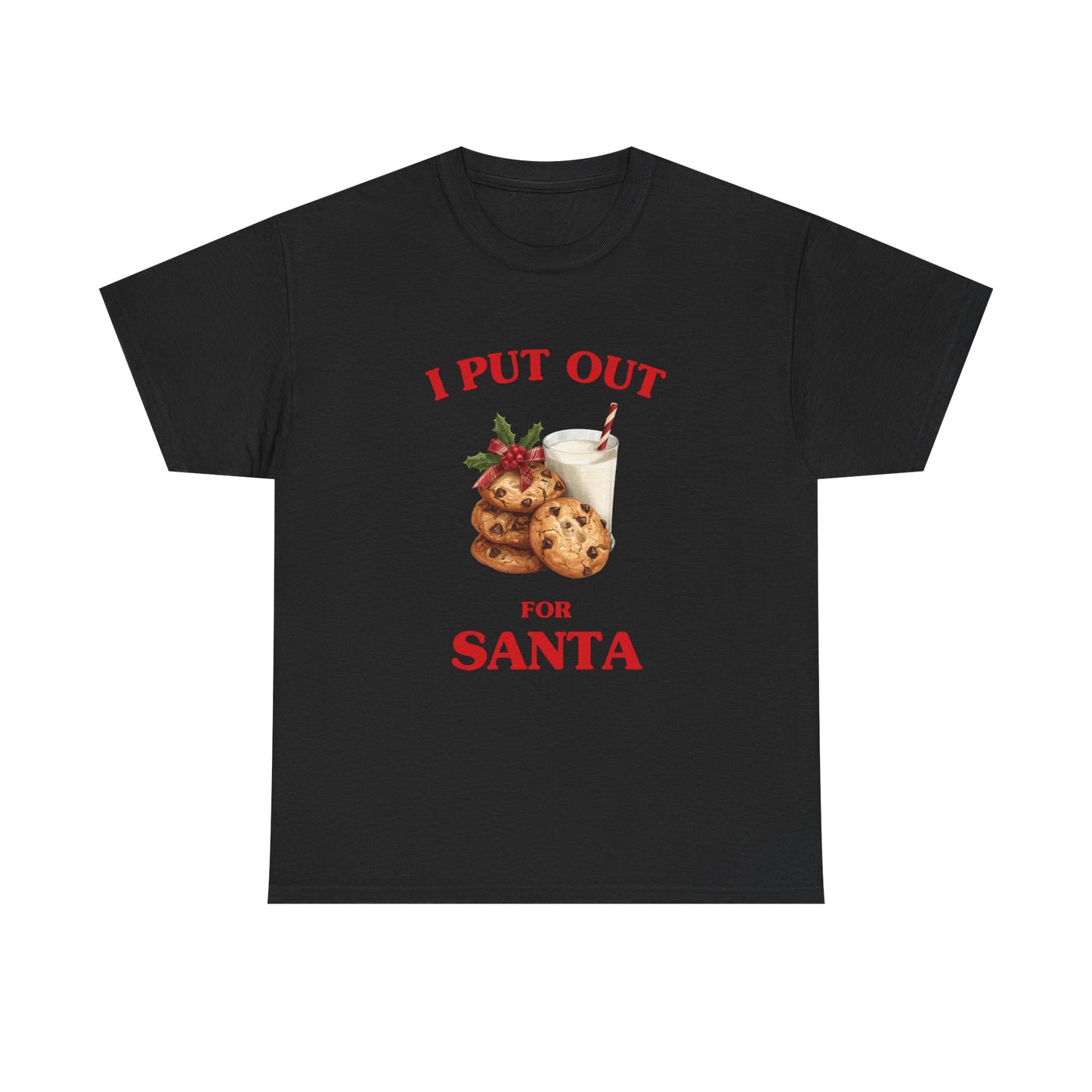 I put out for Santa - T-SHIRT