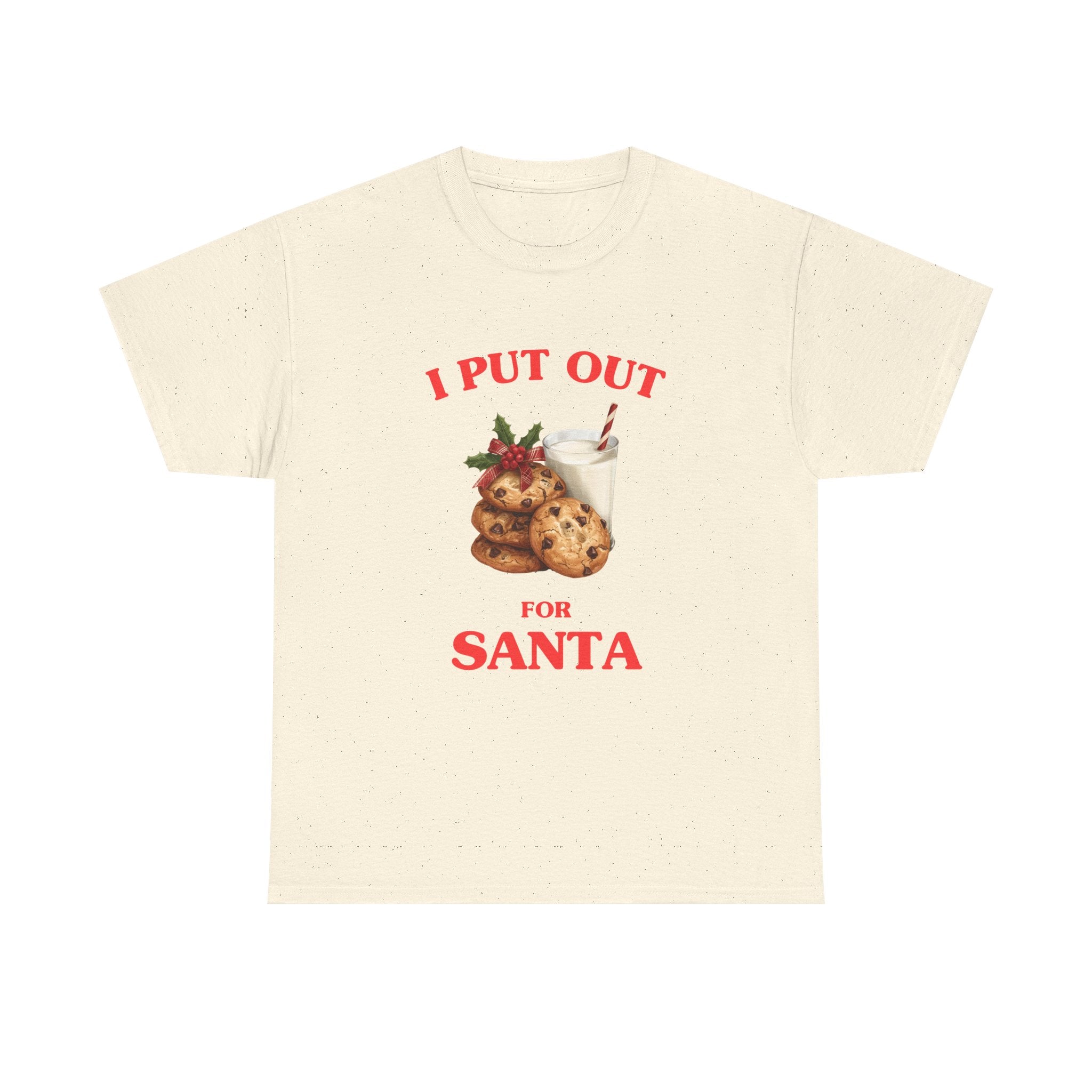 I put out for Santa - T-SHIRT
