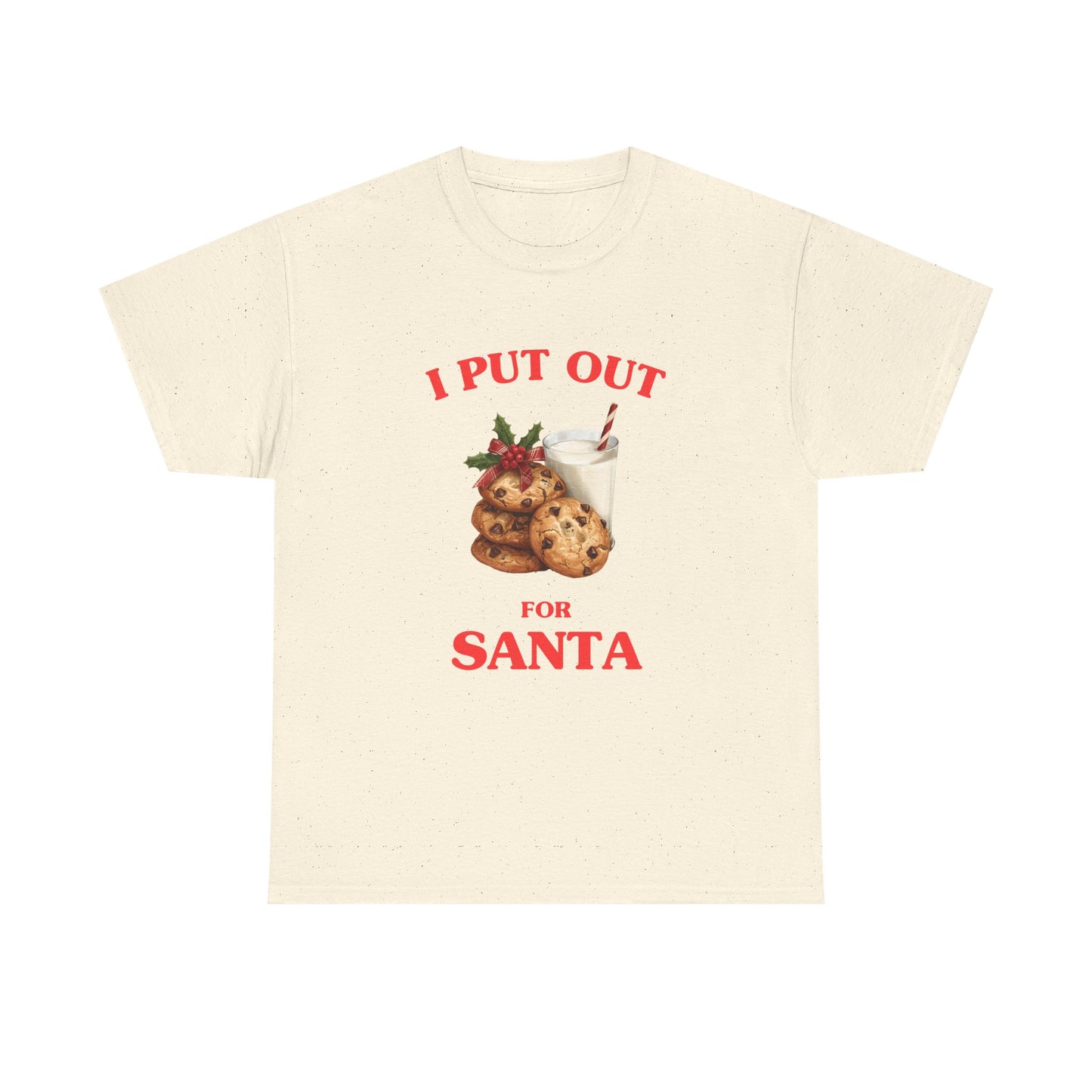 I put out for Santa - T-SHIRT