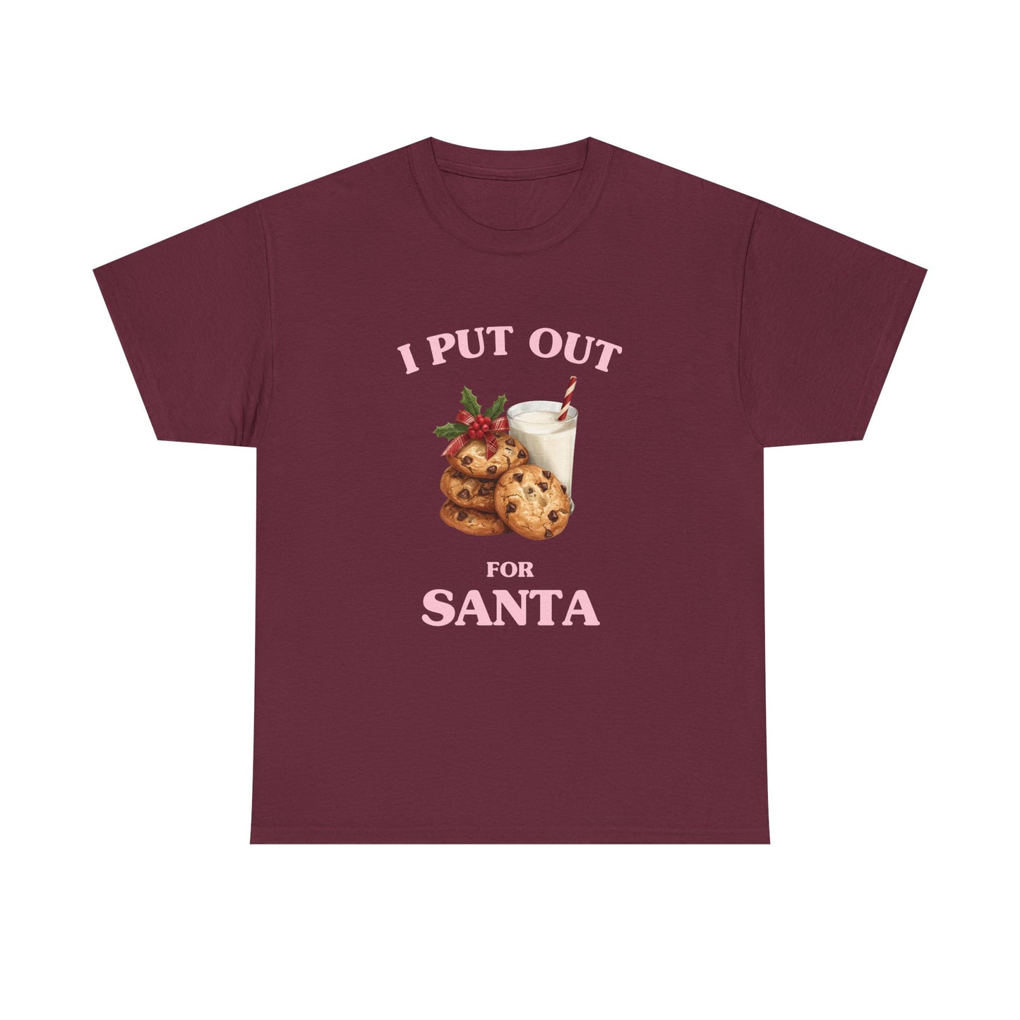 I put out for Santa - T-SHIRT